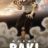 Baki Hanma : 2.Sezon 13.Bölüm izle