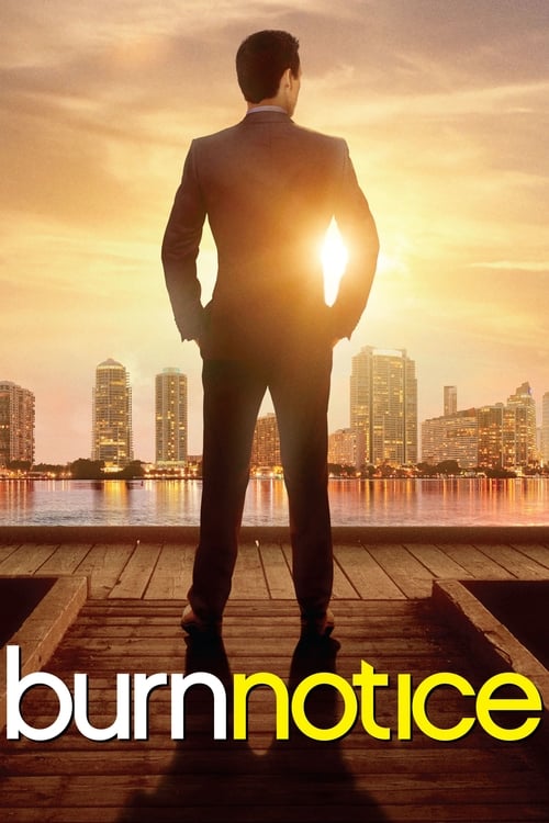 Burn Notice : 2.Sezon 8.Bölüm