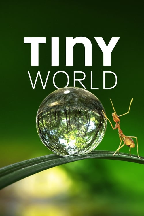 Tiny World : 1.Sezon 1.Bölüm