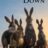 Watership Down : 1.Sezon 2.Bölüm izle